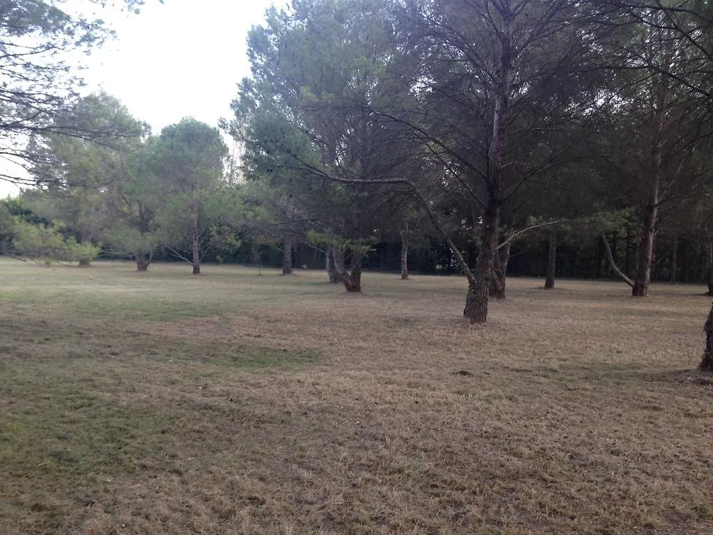 Le Mas De Trevouse Saint-Saturnin-lès-Avignon Γαλλία